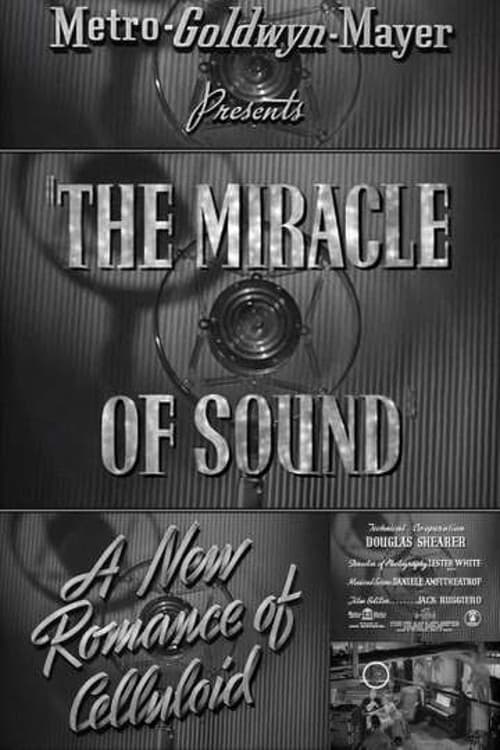 Poster for A New Romance of Celluloid: The Miracle of Sound