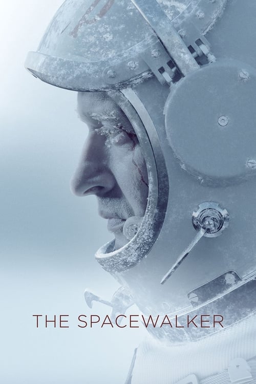 Poster for The Spacewalker