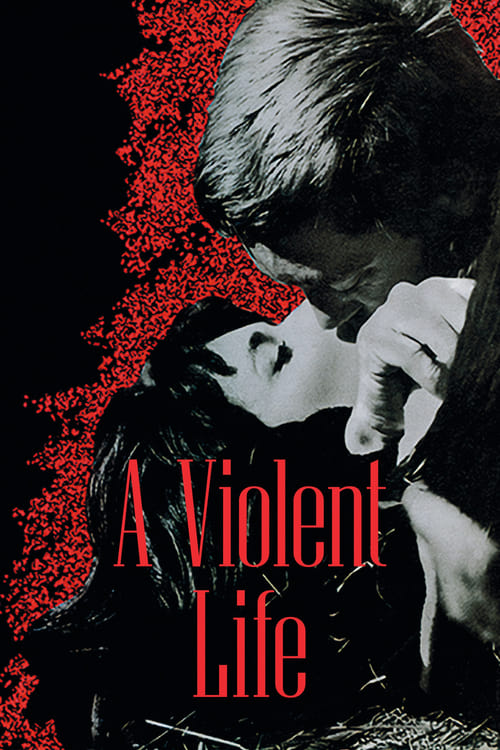 Poster for Violent Life