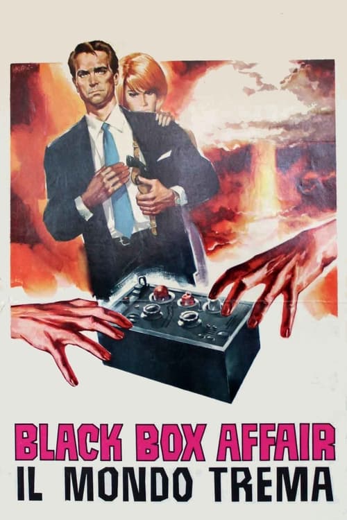 Poster for Black Box Affair