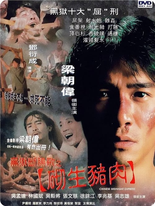 Poster for Chinese Midnight Express