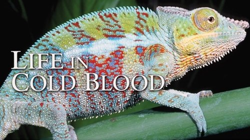 Life in Cold Blood scene 2