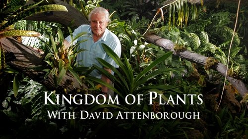 Kingdom of Plants scene 3