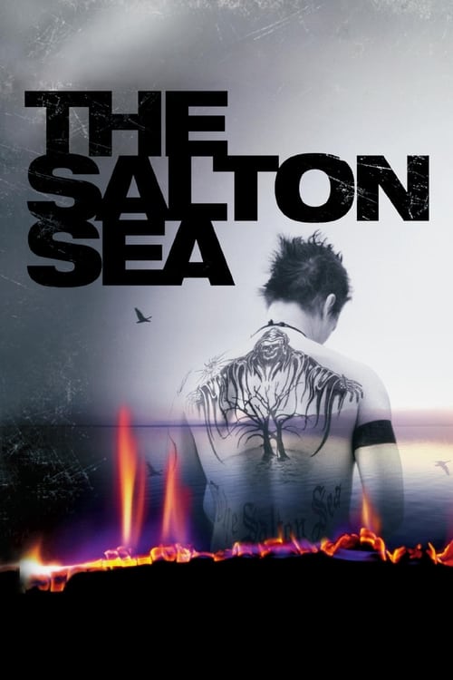 Poster for The Salton Sea