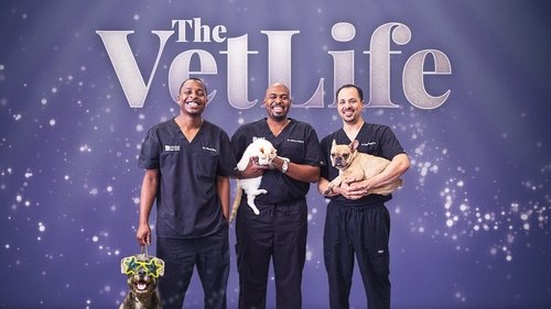 The Vet Life scene 6