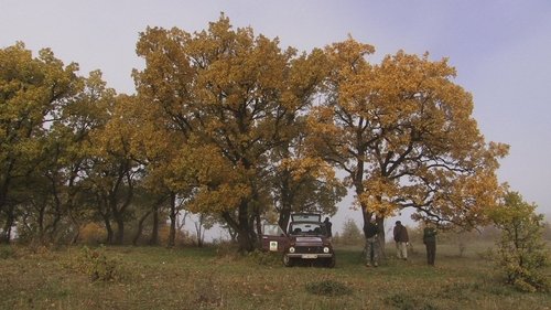 Přežili rok 2000 scene 1