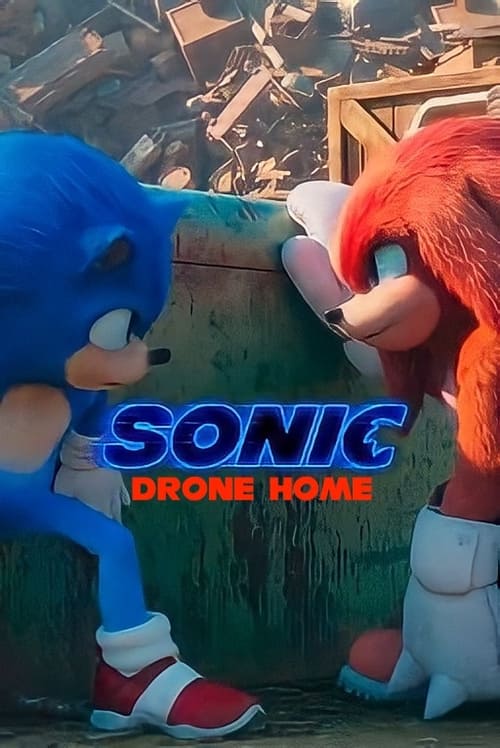 Poster for Sonic Drone Home