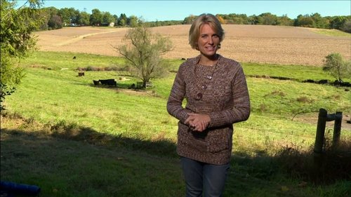 Maryland Farm & Harvest scene 2