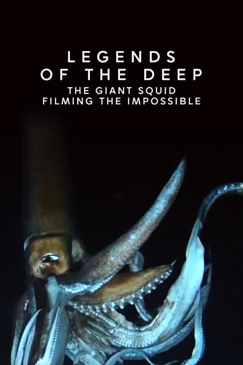 Poster for Legends of the Deep: The Giant Squid