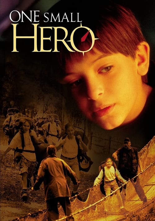 Poster for One Small Hero