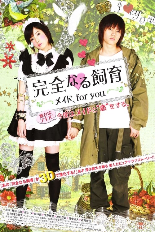 Poster for Perfect Education: A Maid for You