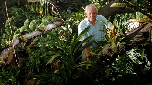 Kingdom of Plants scene 2