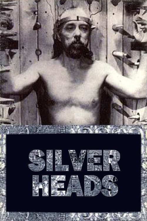 Poster for Silver Heads