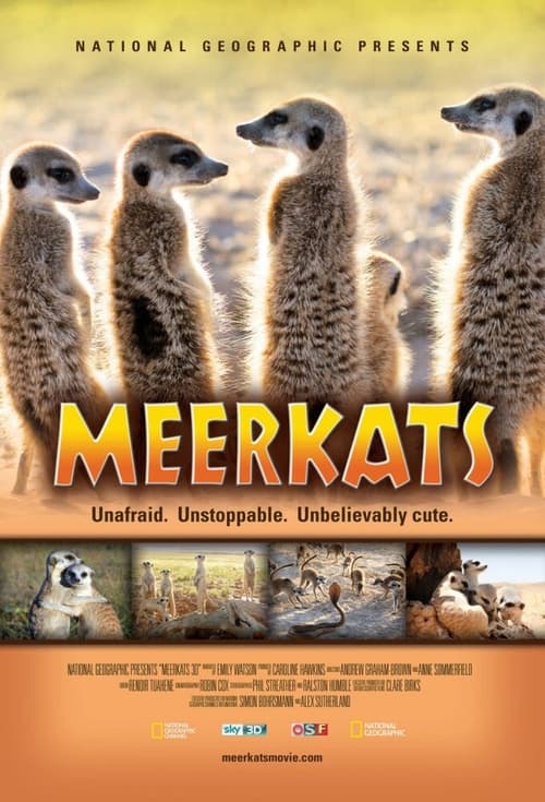 Poster for Meerkats 3D