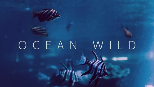 Ocean Wild scene 1
