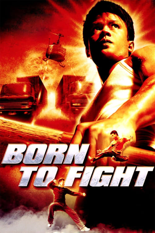 Poster for Born to Fight