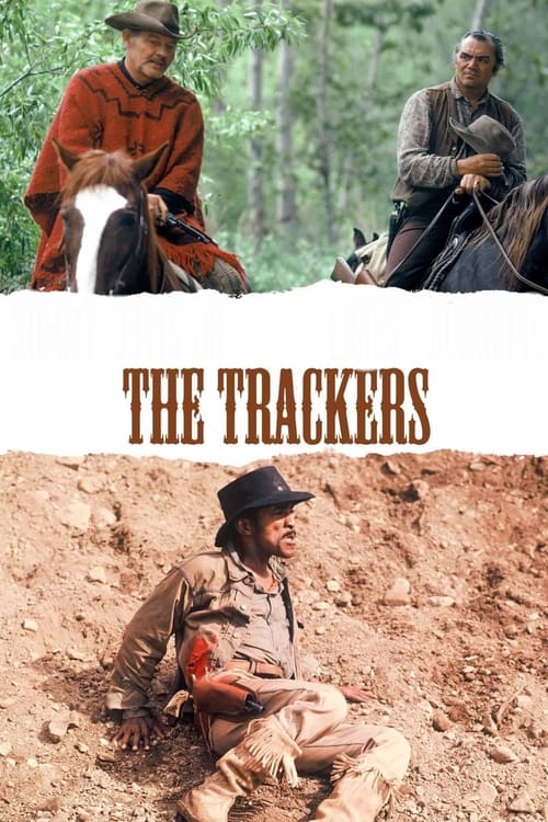 Poster for The Trackers