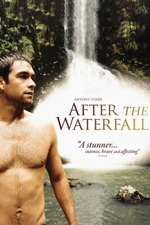 Poster for After the Waterfall