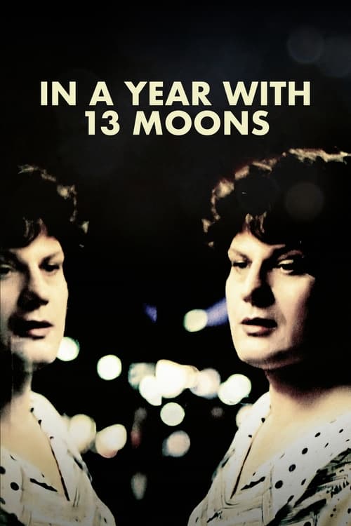 Poster for In a Year with 13 Moons