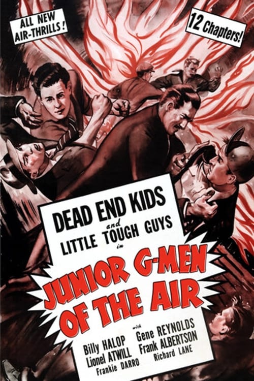 Poster for Junior G-Men of the Air