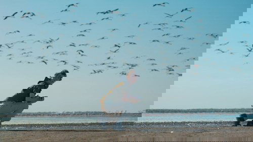 Bichero scene 1