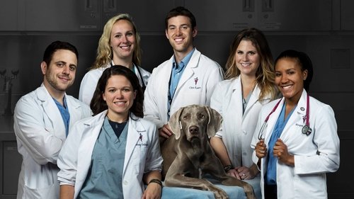 Life at Vet U scene 1