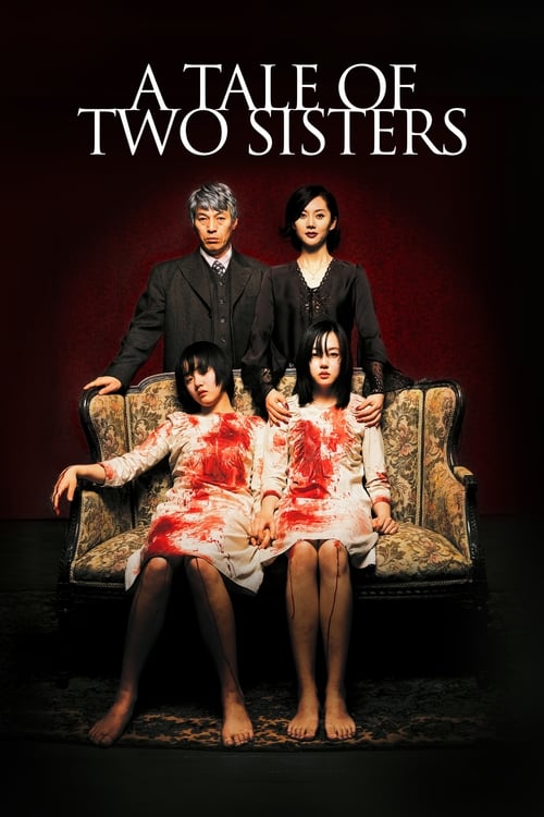 Poster for A Tale of Two Sisters