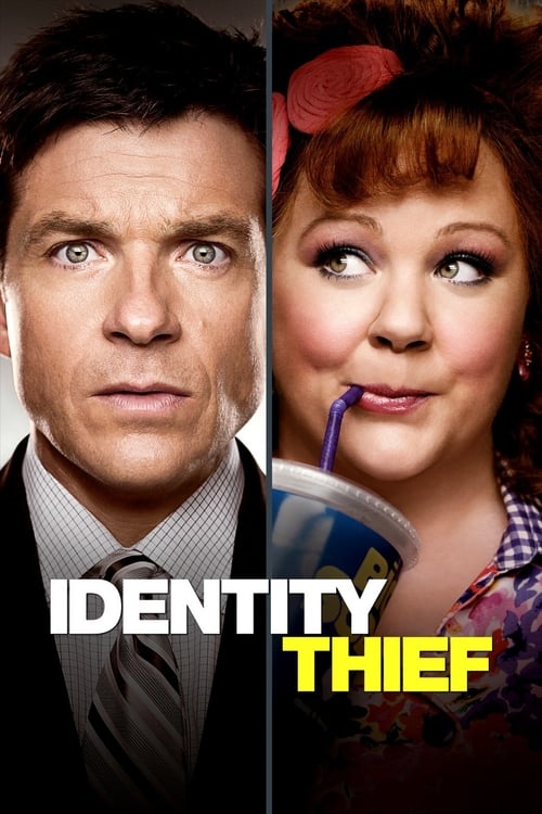 Poster for Identity Thief