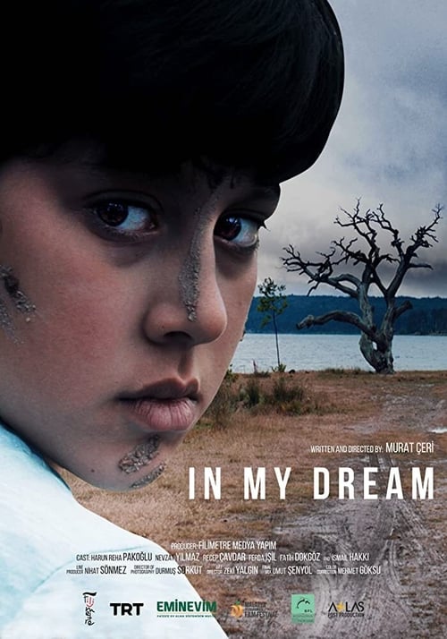 Poster for In My Dream