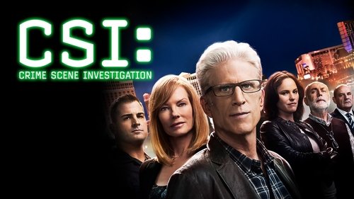 CSI: Crime Scene Investigation scene 8