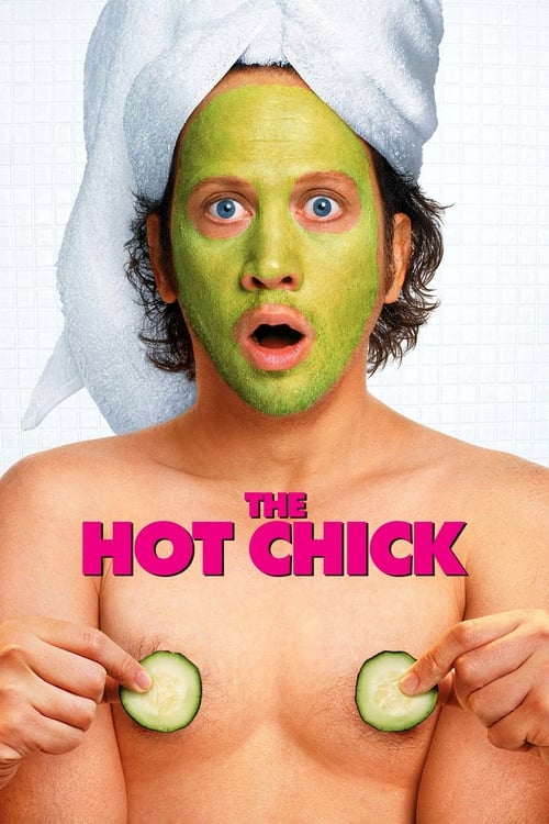 Poster for The Hot Chick
