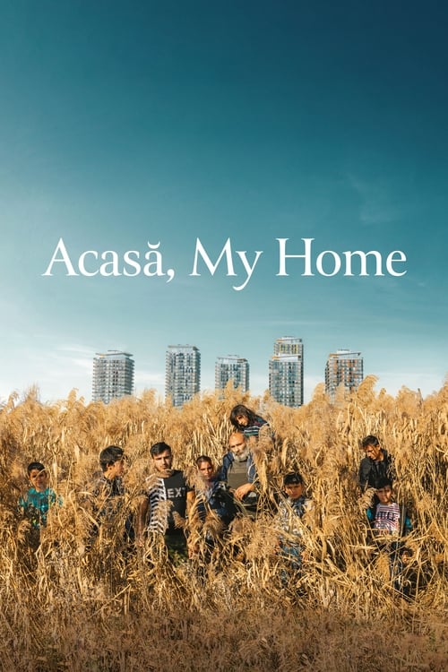 Poster for Acasă, My Home