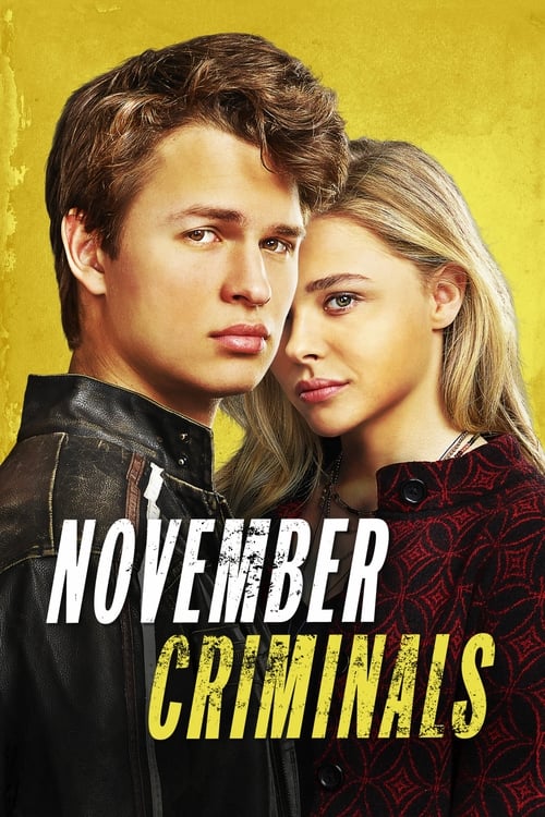 Poster for November Criminals
