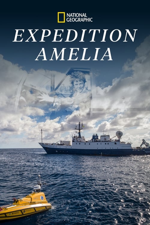 Poster for Expedition Amelia