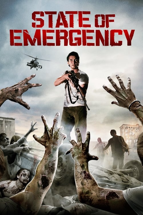 Poster for State of Emergency