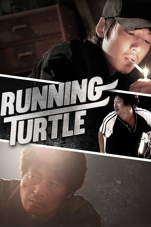 Poster for Running Turtle