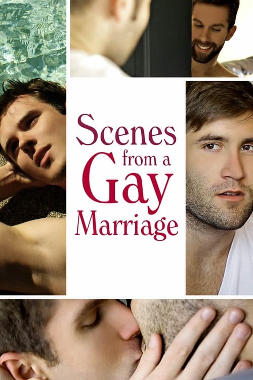Poster for Scenes from a Gay Marriage
