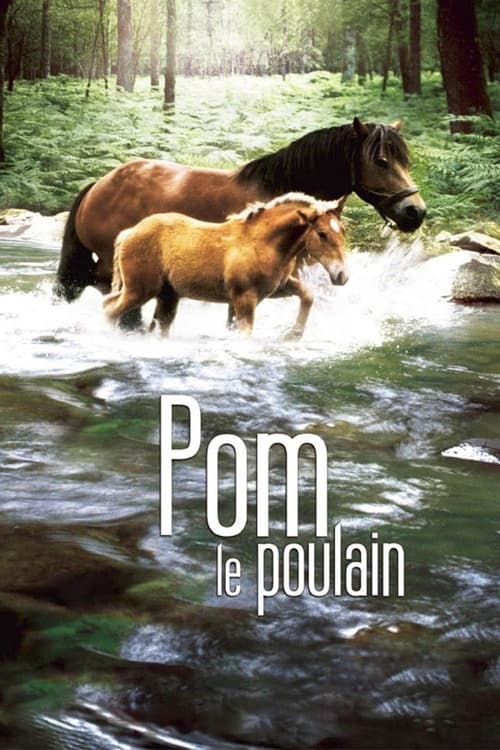 Poster for Pom, le poulain