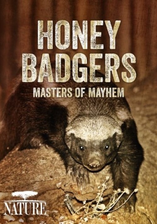Poster for Honey Badgers: Masters of Mayhem