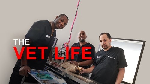 The Vet Life scene 7