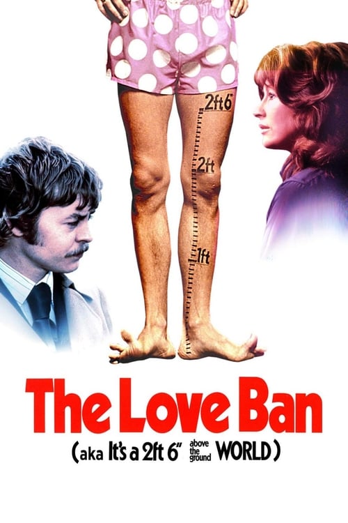 Poster for The Love Ban