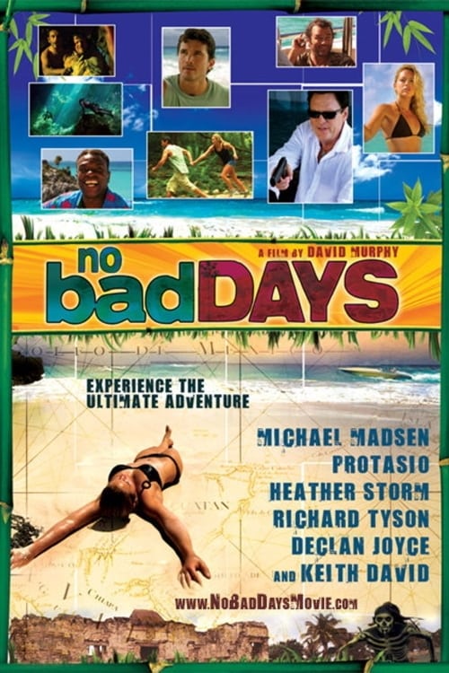 Poster for No Bad Days