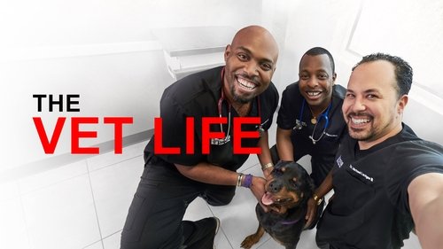 The Vet Life scene 8