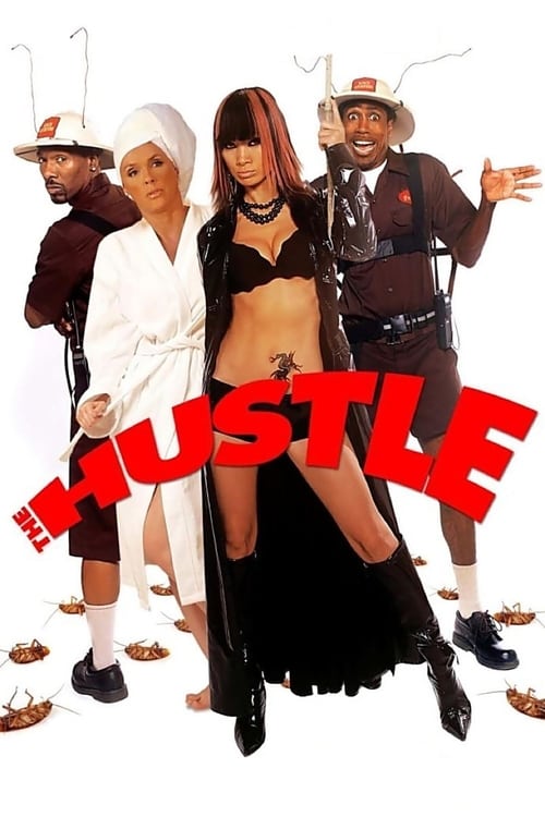 Poster for The Hustle