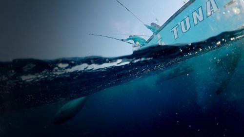 Wicked Tuna: Outer Banks scene 4