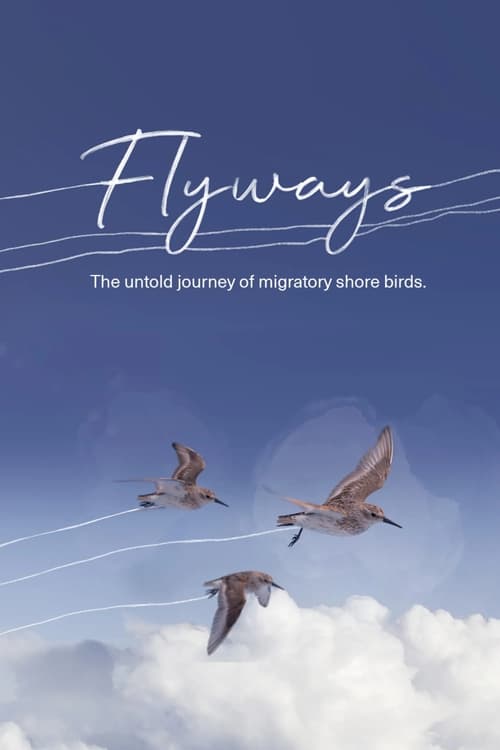 Poster for Flyways