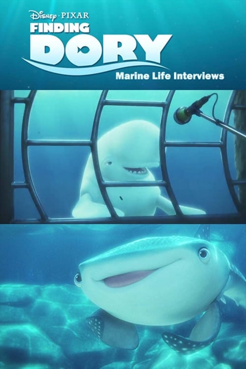 Poster for Marine Life Interviews