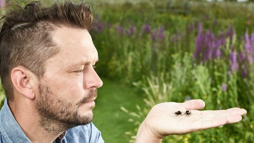 Jimmy's Big Bee Rescue scene 1