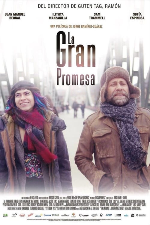 Poster for The Big Promise