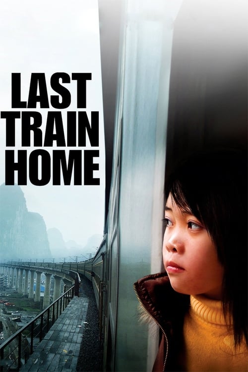 Poster for Last Train Home